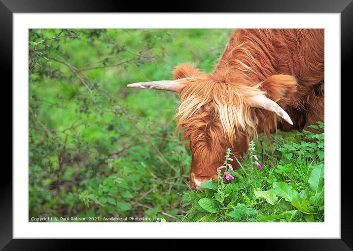 Hungry Highlander Framed Mounted Print by Paul Robson
