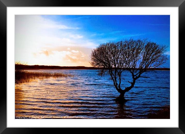 Sunset at Kenfig Pool Framed Mounted Print by Gaynor Ball