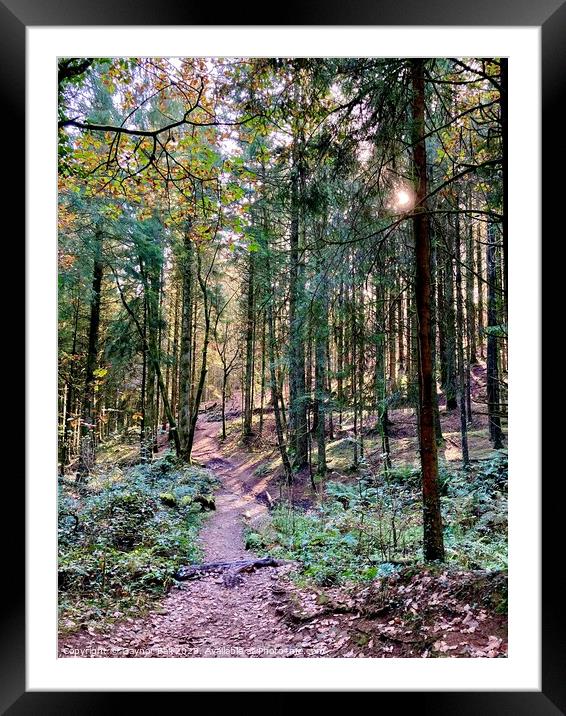 Craig Yr Aber forestry, South Wales Framed Mounted Print by Gaynor Ball