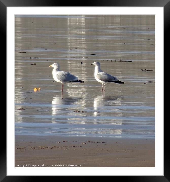 Seeing double Framed Mounted Print by Gaynor Ball