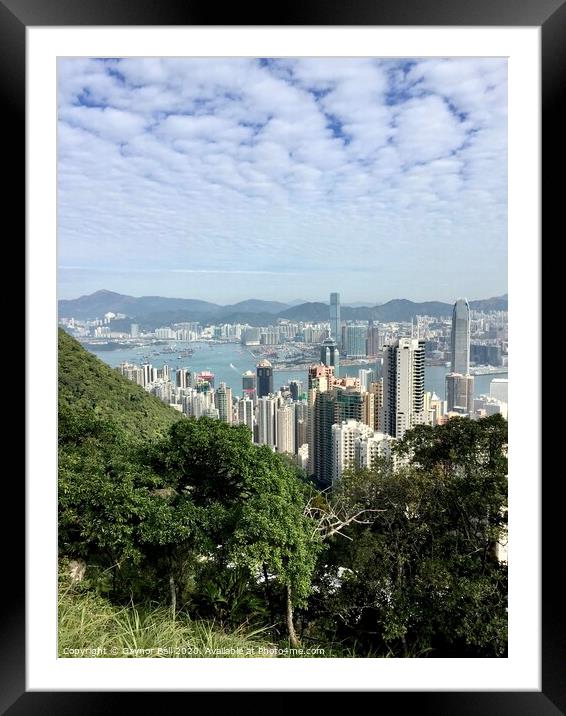 Skyscrapers of Hong Kong. Framed Mounted Print by Gaynor Ball