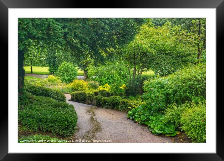 Winding through Greens. Framed Mounted Print by 28sw photography