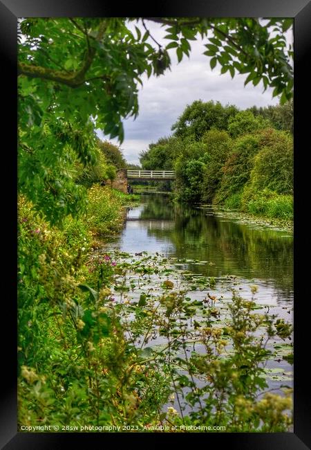 A Frame of a Bridge. Framed Print by 28sw photography