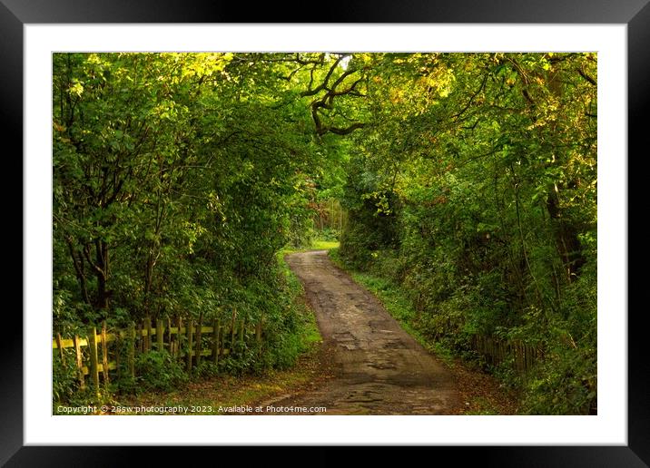Paths to Mystery. Framed Mounted Print by 28sw photography