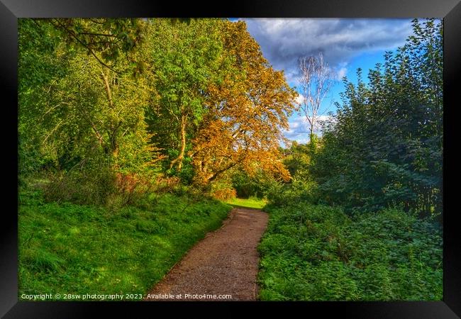 Highfields Colour Shines. Framed Print by 28sw photography