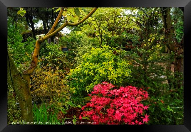 Arts in the Garden. Framed Print by 28sw photography
