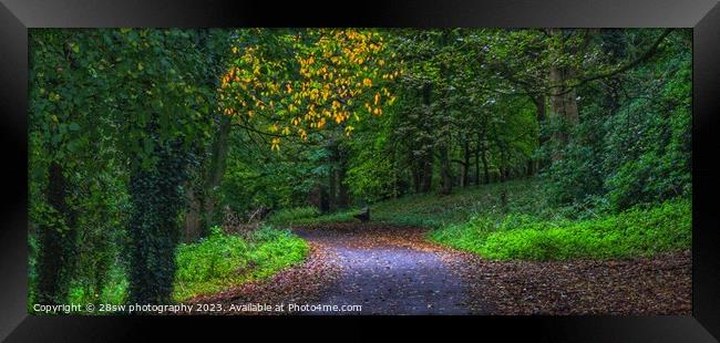A slice of Autumn and Light - (Panorama.) Framed Print by 28sw photography