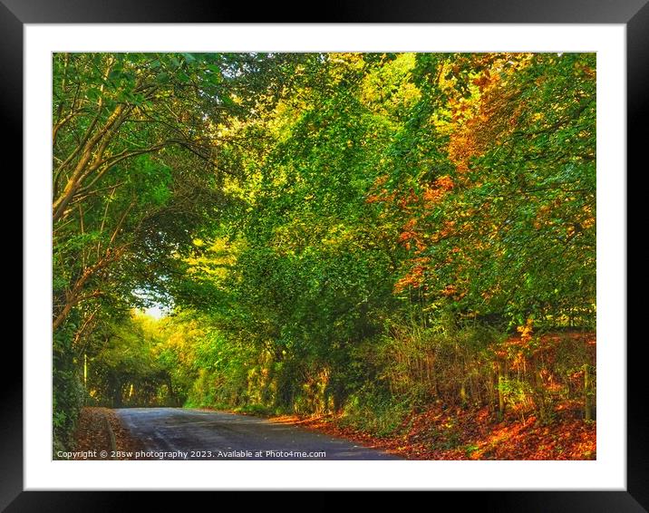 Arts of The Autumn Lane. Framed Mounted Print by 28sw photography