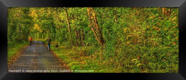 Afternoon Autumn Walking - (Panorama.) Framed Print by 28sw photography