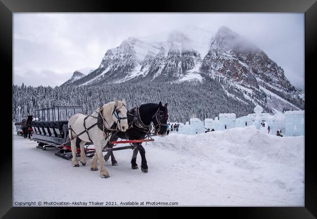 A Christmassy horse sledge in lake Louise in Banff Framed Print by PhotOvation-Akshay Thaker