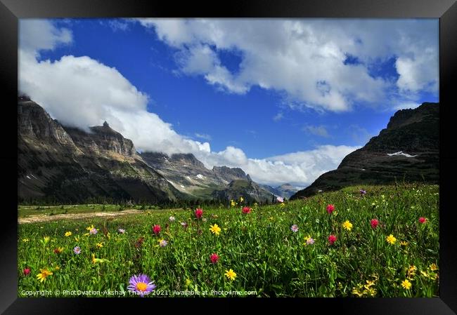 A colorful wild flowers valley Logan Pass, Montana Framed Print by PhotOvation-Akshay Thaker
