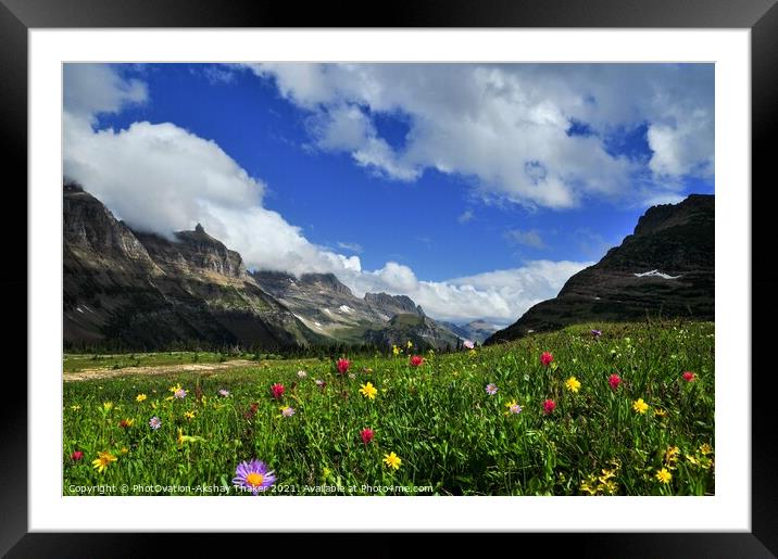 A colorful wild flowers valley Logan Pass, Montana Framed Mounted Print by PhotOvation-Akshay Thaker