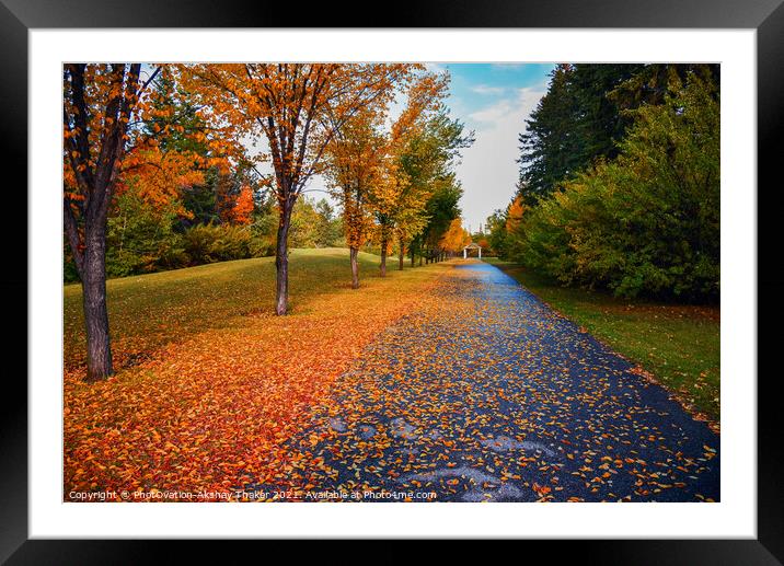 Beautiful Autumn or fall colors landscapes Framed Mounted Print by PhotOvation-Akshay Thaker