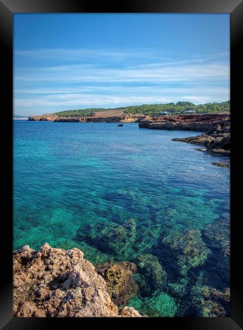 Photography with the transparent waters of Cala Bassa in San Antonio de Ibiza Framed Print by Vicen Photo