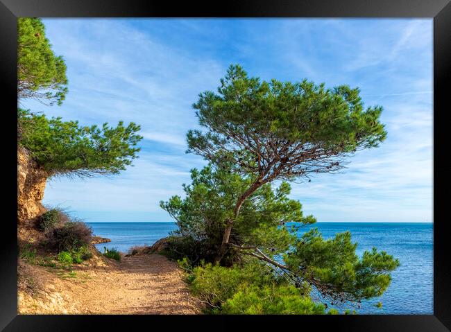 Photography with a path along the Mediterranean Sea in Atmella de Mar Framed Print by Vicen Photo