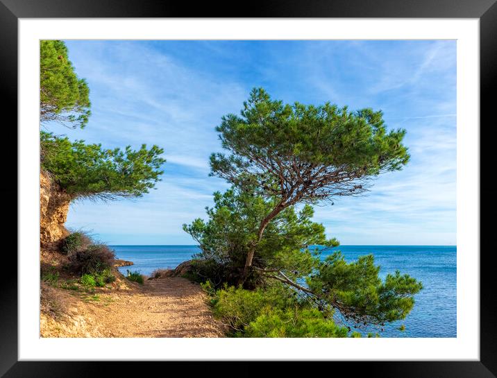 Photography with a path along the Mediterranean Sea in Atmella de Mar Framed Mounted Print by Vicen Photo