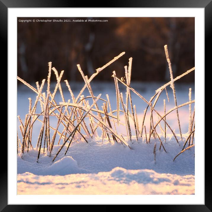 Abstract view of frosted vegetation  Framed Mounted Print by Christopher Shoults