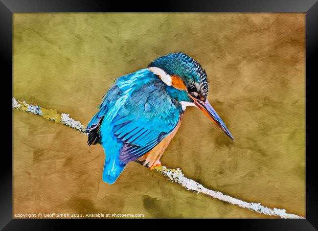 Kingfisher in Winter Painting Framed Print by Geoff Smith