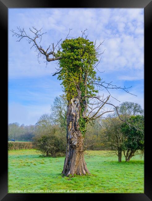 Tree with arms in Spring Framed Print by Geoff Smith