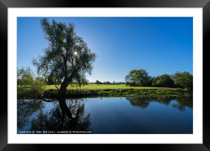 Autumn Sun Through Tree Framed Mounted Print by Allan Bell