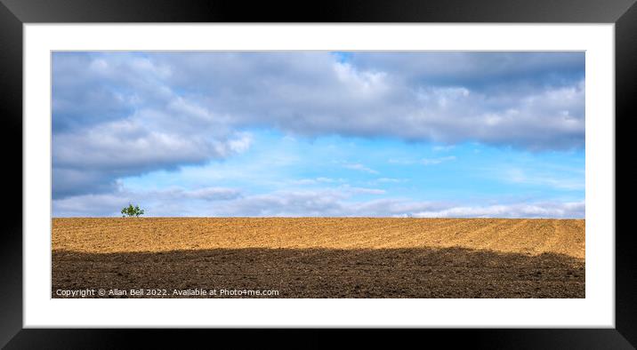 Cotswolds Lonely Tree Framed Mounted Print by Allan Bell