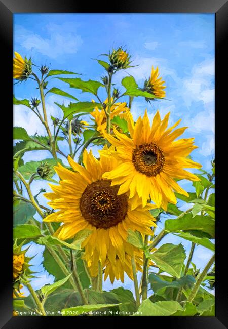 Sun flowers Van Gogh style Framed Print by Allan Bell