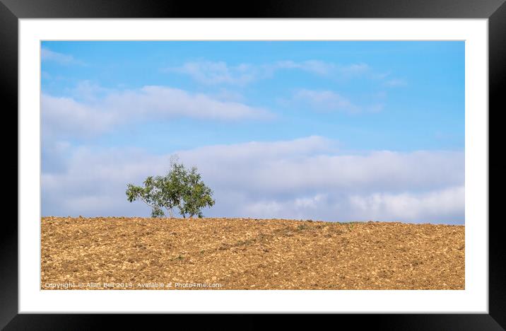 Lone Tree on Skyline Cotswolds Framed Mounted Print by Allan Bell