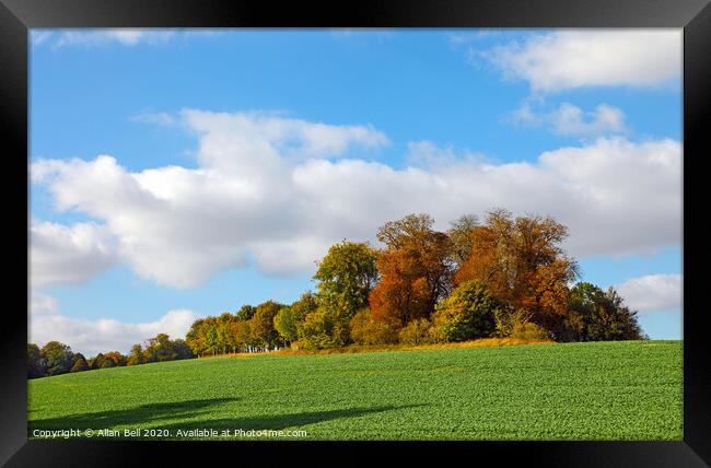 Wood Knoll in Autumn Framed Print by Allan Bell