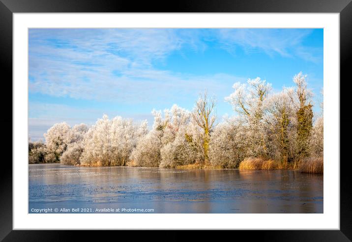 Trees at Edge of Lake in Winter Framed Mounted Print by Allan Bell