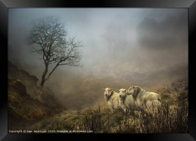 Landscape in the Mist Framed Print by Alan Jenkinson