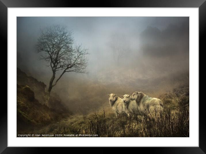 Landscape in the Mist Framed Mounted Print by Alan Jenkinson