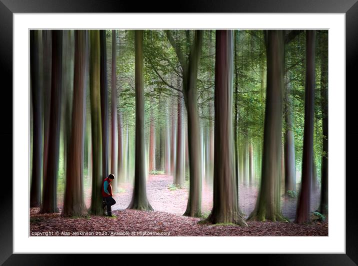 Woodland Solace Framed Mounted Print by Alan Jenkinson