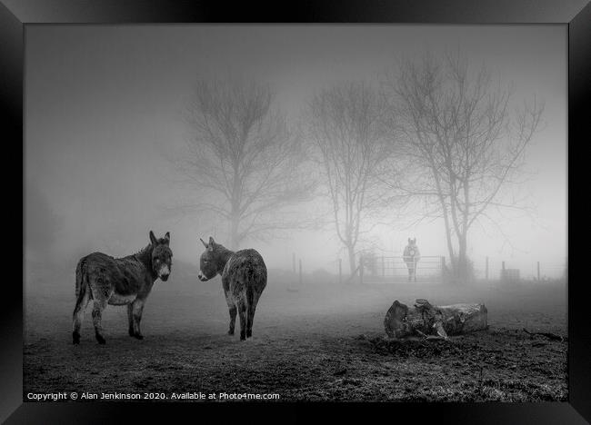 Donkey Sanctuary in the Mist Framed Print by Alan Jenkinson