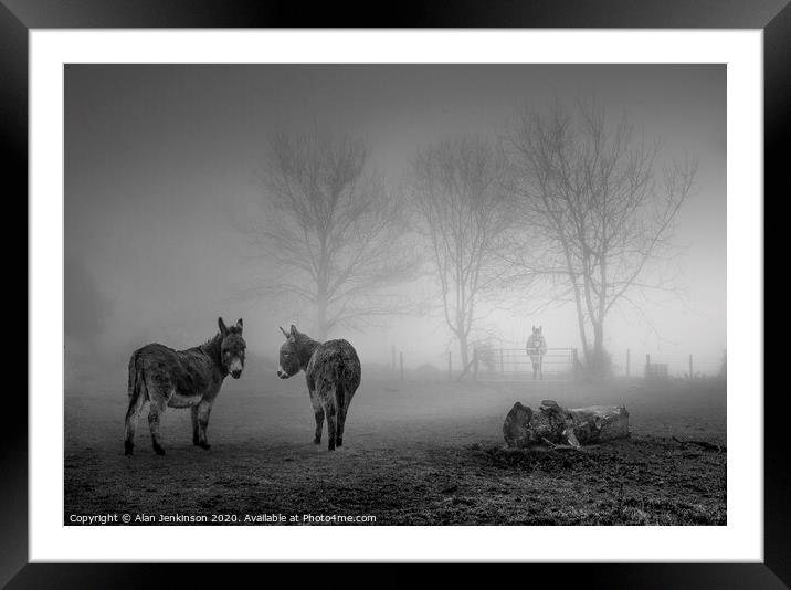 Donkey Sanctuary in the Mist Framed Mounted Print by Alan Jenkinson