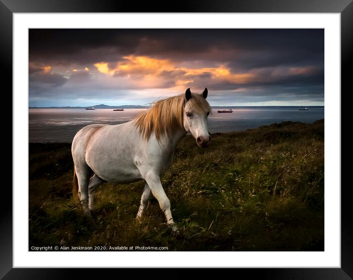 St Brides Pony at Twilight, West Wales Framed Mounted Print by Alan Jenkinson