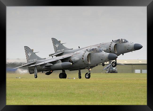 Sea Harriers formation take-off  Framed Print by colin hollywood