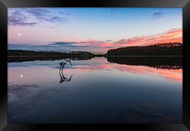 Sunset over Entwistle reservoir   Framed Print by Phil Hill