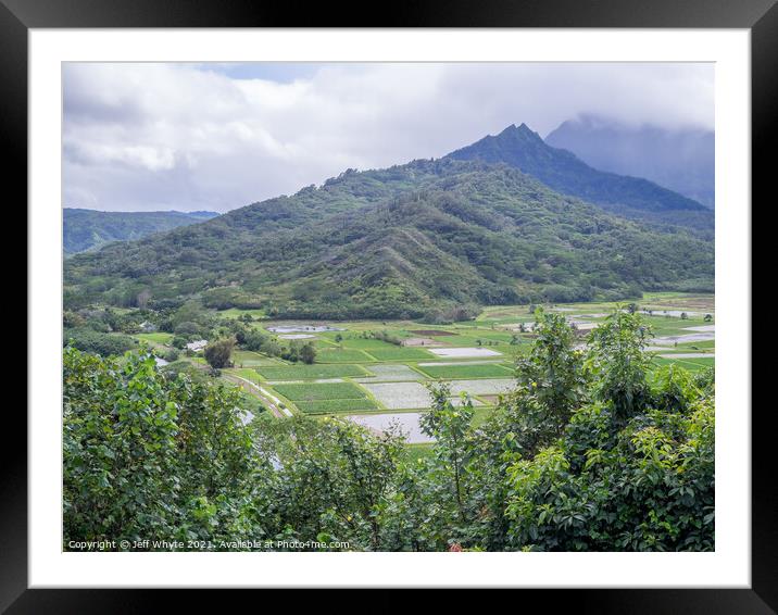 Hanalei Valley Taro fields Framed Mounted Print by Jeff Whyte