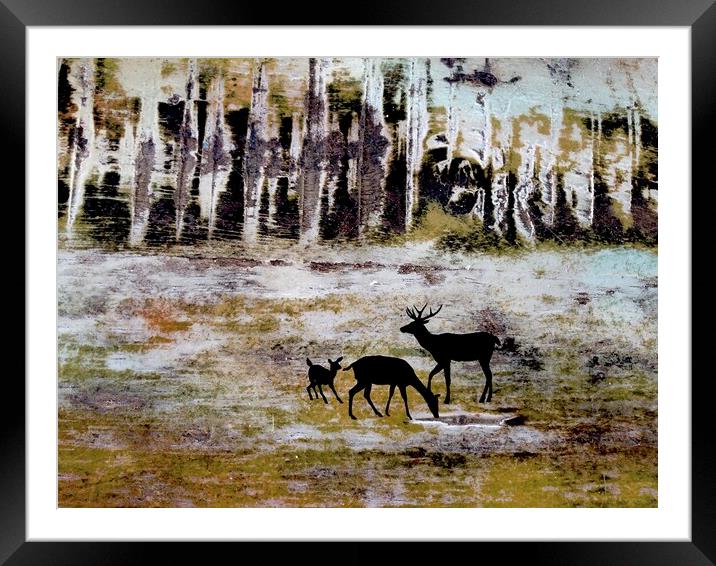 Grazing Deer Framed Mounted Print by Robert Fennah