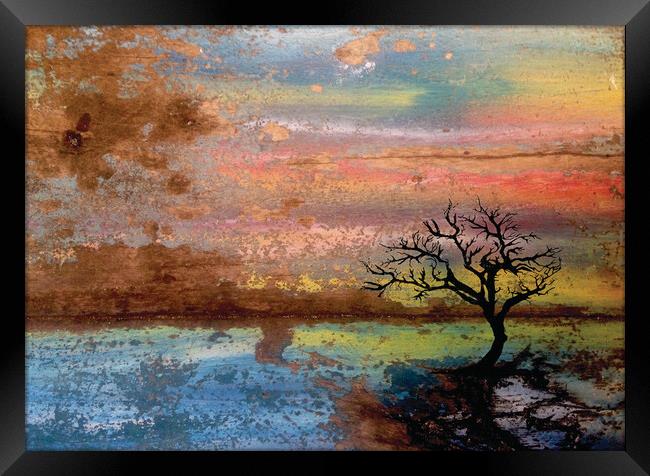 Tree At Sunset Framed Print by Robert Fennah