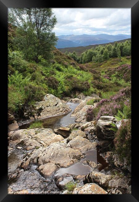 Edramucky Trail, Ben Lawers, Scotland Framed Print by Imladris 