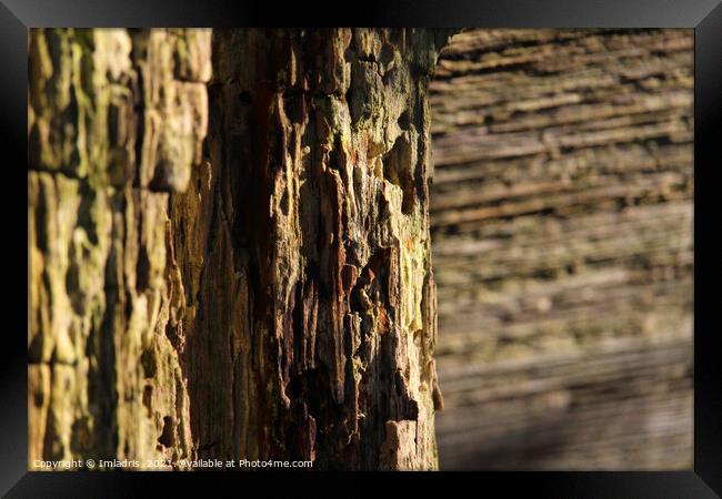 Textured Nature Abstract, Weathered Wood Framed Print by Imladris 