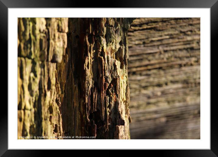 Textured Nature Abstract, Weathered Wood Framed Mounted Print by Imladris 