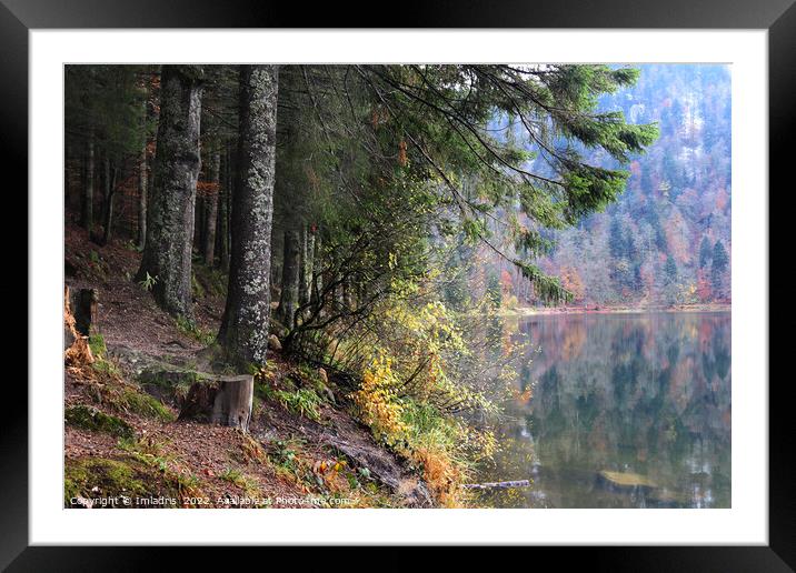 Lac des Corbeaux in Autumn, France Framed Mounted Print by Imladris 
