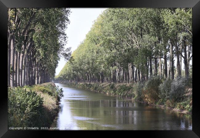 Schipdonk Canal near Damme, Belgium Framed Print by Imladris 