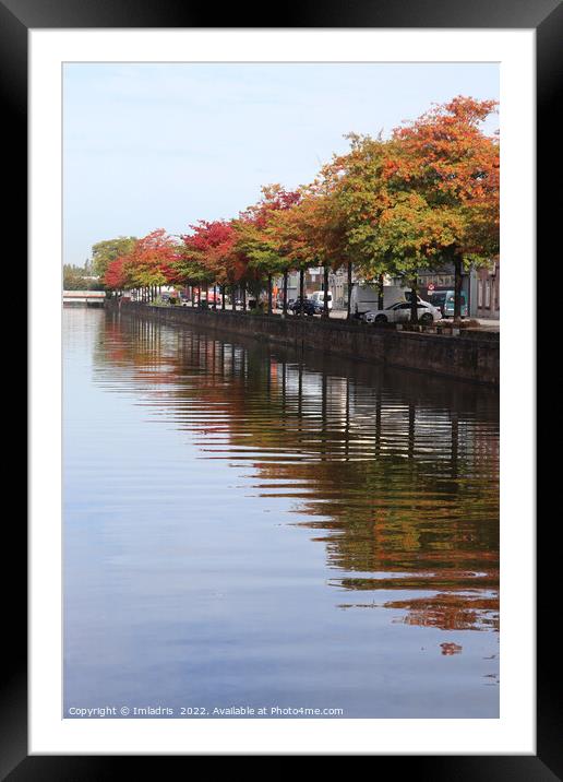 River Dender Autumn View, Aalst, Belgium Framed Mounted Print by Imladris 