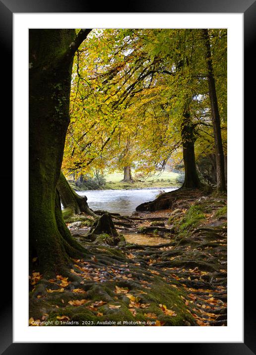Autumn in Betws-y-coed, North Wales Framed Mounted Print by Imladris 