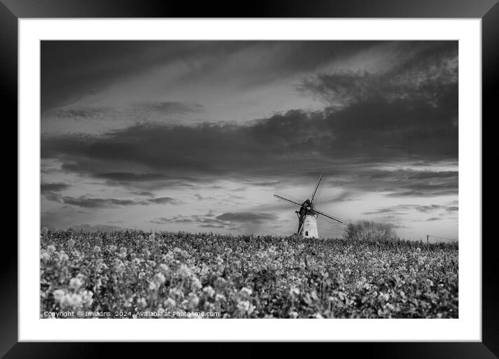 Mill on the Seven Roads, Belgium Framed Mounted Print by Imladris 