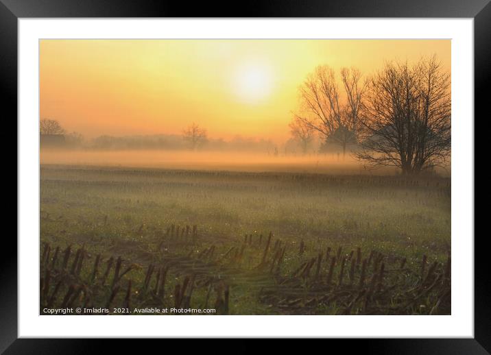 Beautiful Winter Sunset, Gelderland, Netherlands Framed Mounted Print by Imladris 