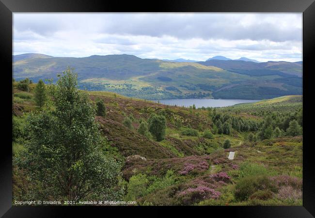 Edramucky Trail, Ben Lawers National Nature Reserv Framed Print by Imladris 
